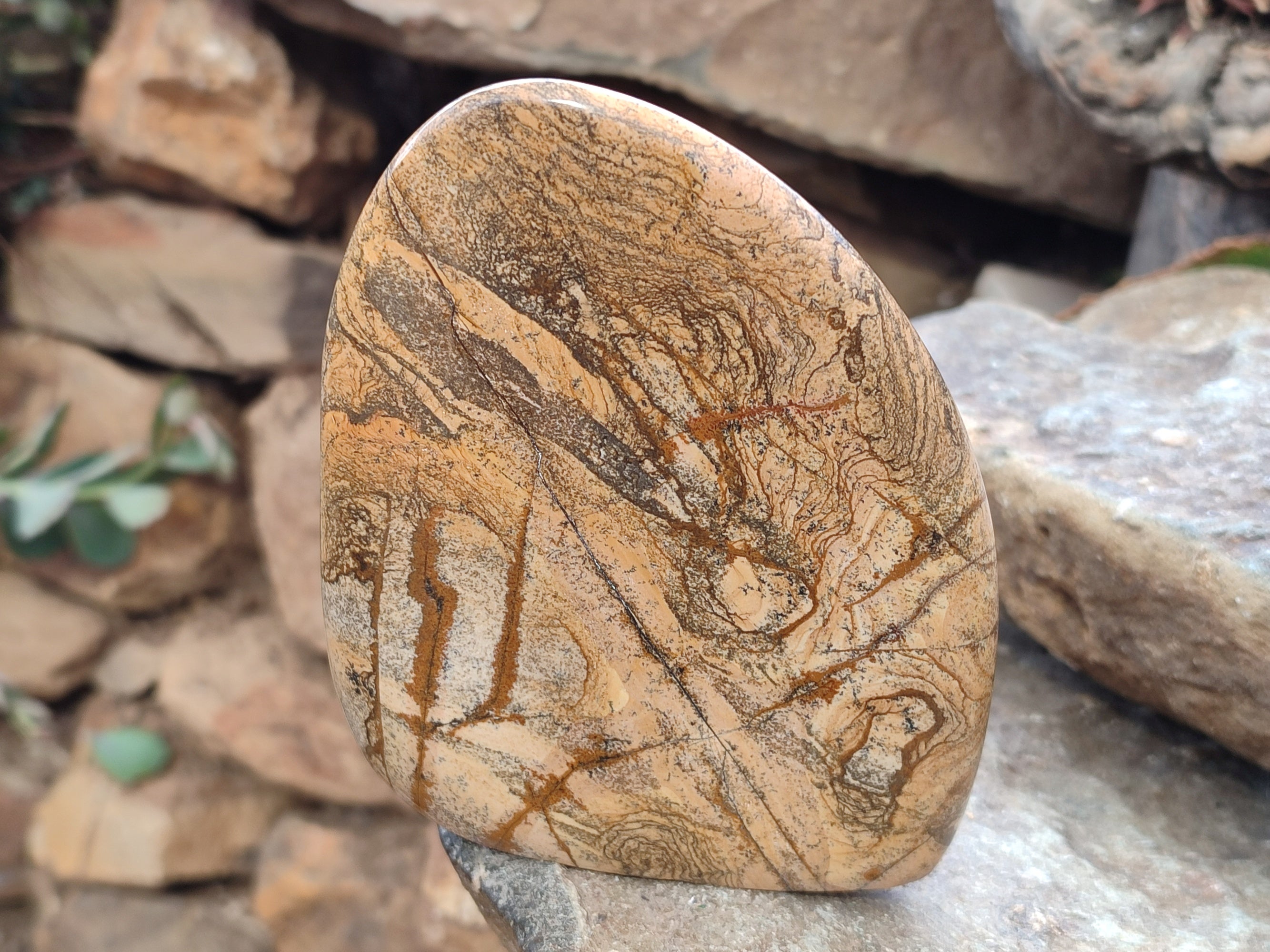 Polished Picture Stone Jasper Standing Free Forms x 2 From Ais-Ais, Namibia - Toprock Gemstones and Minerals 