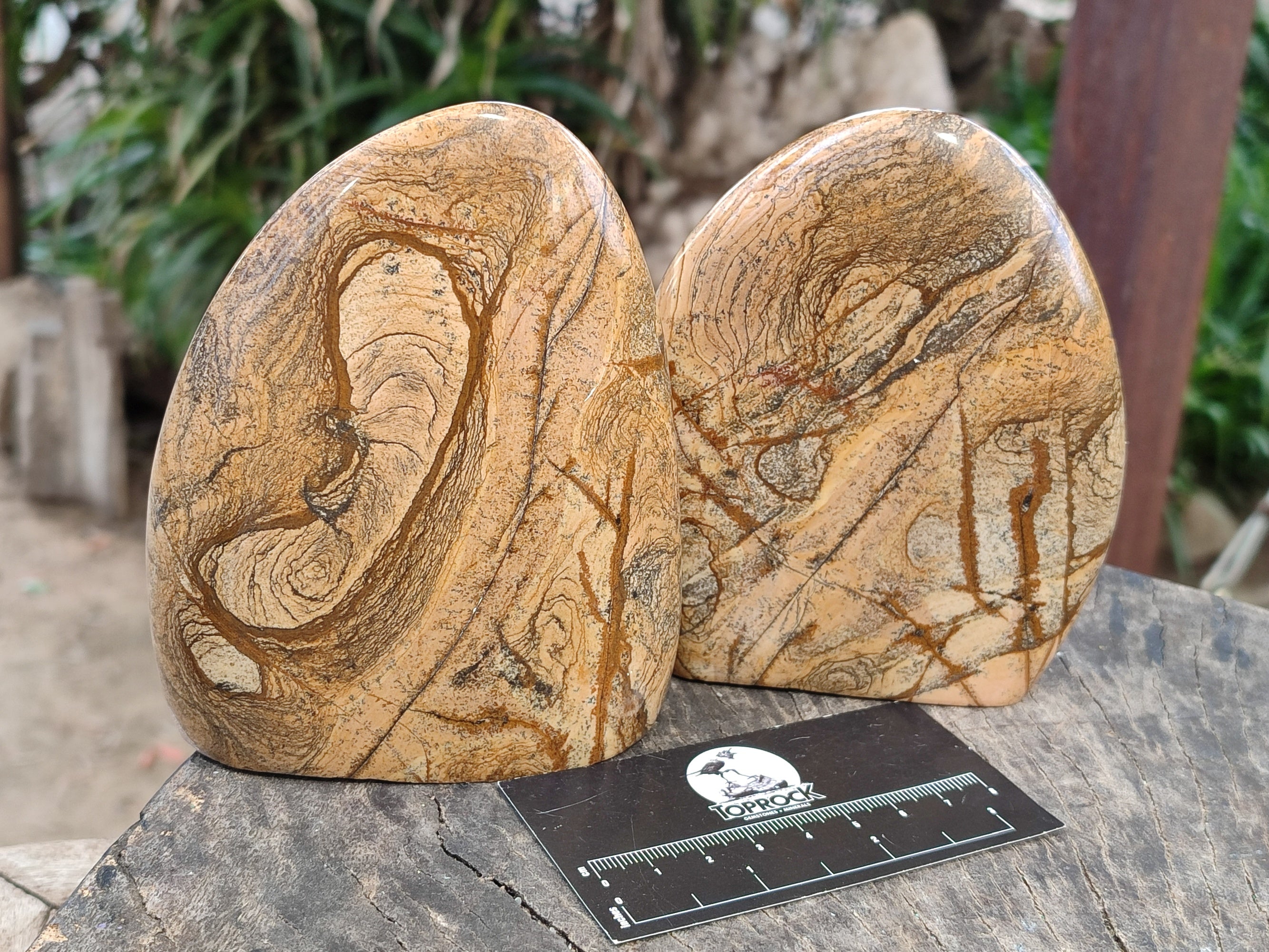 Polished Picture Stone Jasper Standing Free Forms x 2 From Ais-Ais, Namibia - Toprock Gemstones and Minerals 