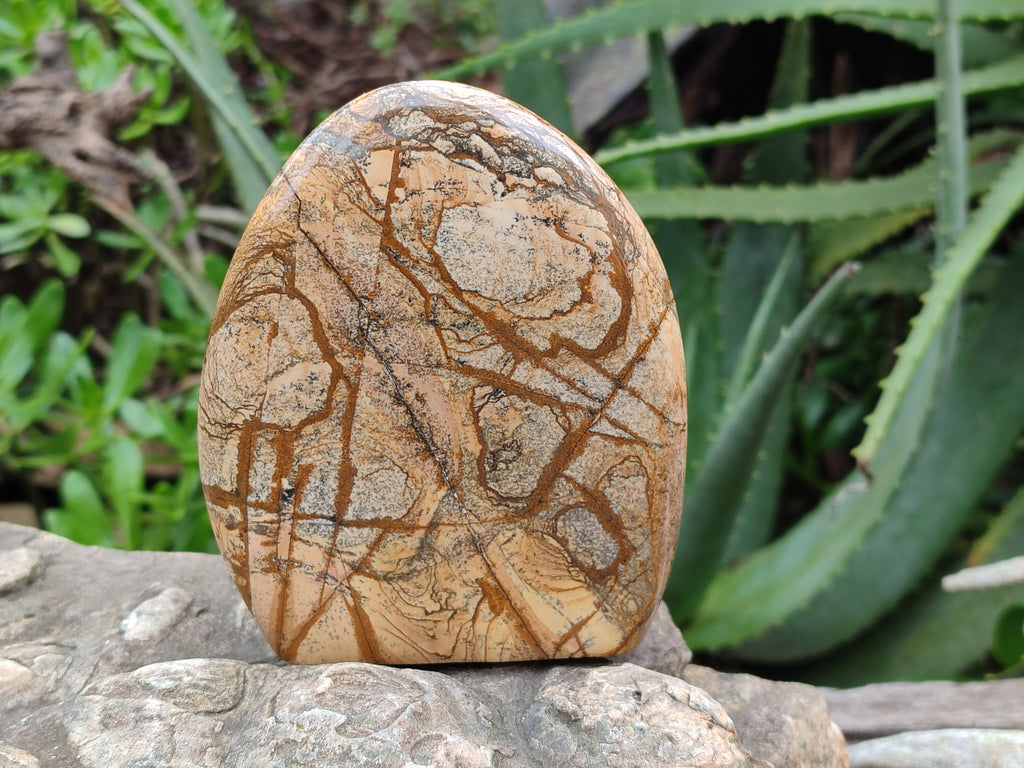 Polished Picture Stone Jasper Standing Free Forms x 2 From Ais-Ais, Namibia - Toprock Gemstones and Minerals 