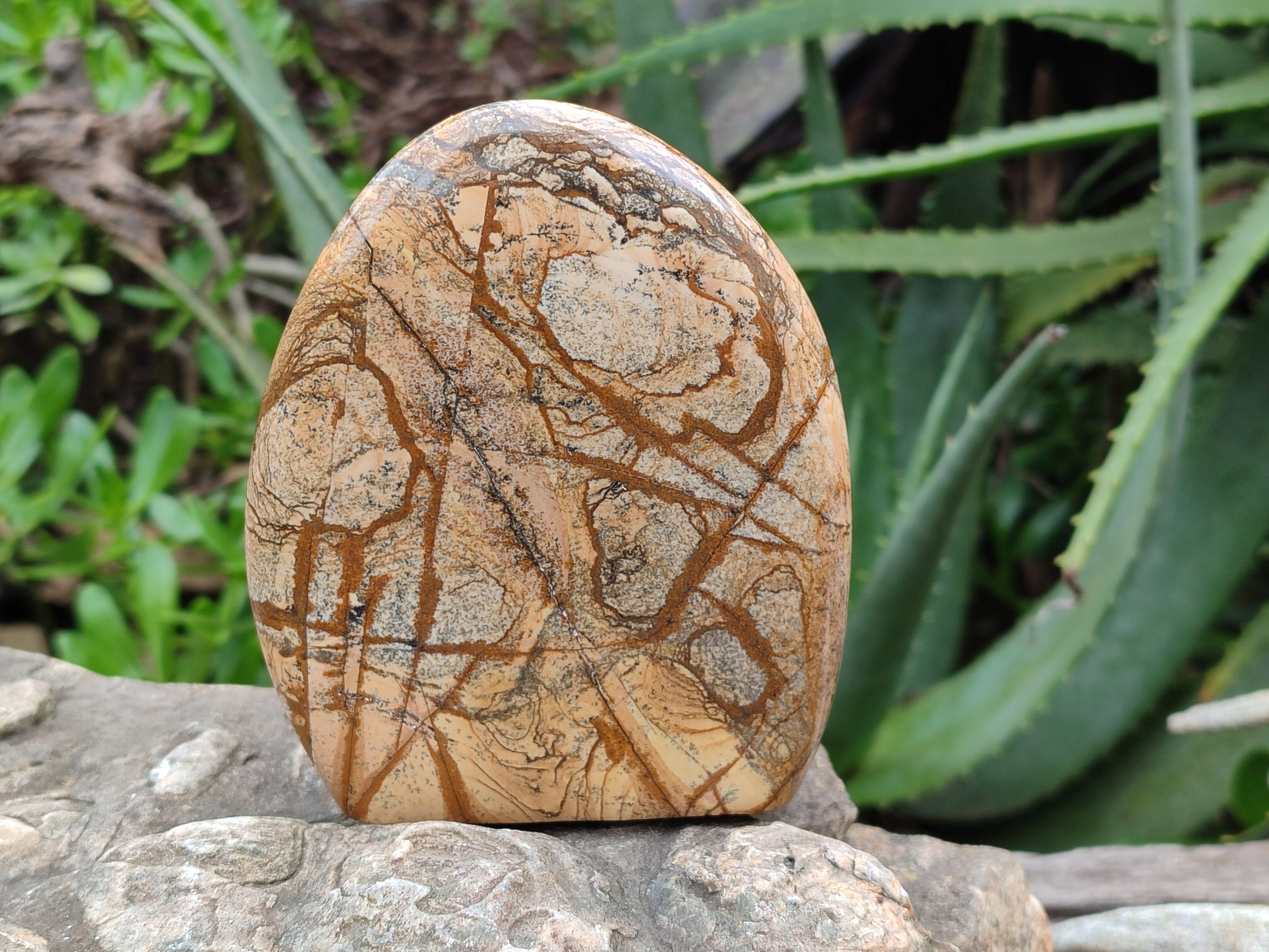 Polished Picture Stone Jasper Standing Free Forms x 2 From Ais-Ais, Namibia - Toprock Gemstones and Minerals 