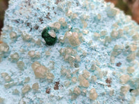 Natural Clear Calcite Crystals on a Blue Chrysocolla Plate with Ball Malachite x 1 From Congo