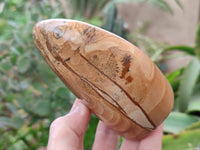 Polished Picture Stone Jasper Standing Free Forms x 2 From Ais-Ais, Namibia - Toprock Gemstones and Minerals 