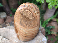 Polished Picture Stone Jasper Standing Free Forms x 2 From Ais-Ais, Namibia - Toprock Gemstones and Minerals 
