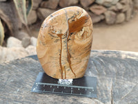 Polished Picture Stone Jasper Standing Free Forms x 2 From Ais-Ais, Namibia - Toprock Gemstones and Minerals 