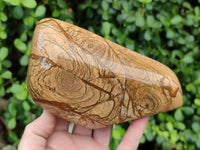 Polished Picture Stone Jasper Standing Free Forms x 2 From Ais-Ais, Namibia - Toprock Gemstones and Minerals 