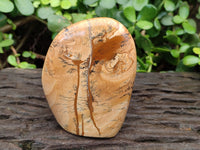 Polished Picture Stone Jasper Standing Free Forms x 2 From Ais-Ais, Namibia - Toprock Gemstones and Minerals 