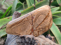 Polished Picture Stone Jasper Standing Free Forms x 2 From Ais-Ais, Namibia - Toprock Gemstones and Minerals 