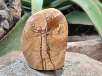 Polished Picture Stone Jasper Standing Free Forms x 2 From Ais-Ais, Namibia - Toprock Gemstones and Minerals 