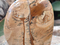 Polished Picture Stone Jasper Standing Free Forms x 2 From Ais-Ais, Namibia - Toprock Gemstones and Minerals 