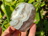 Polished Sashe River Agate Standing Free Forms x 7 From Zimbabwe