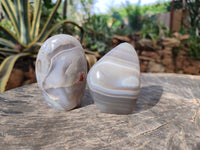 Polished Sashe River Agate Standing Free Forms x 7 From Zimbabwe