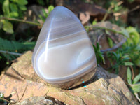 Polished Sashe River Agate Standing Free Forms x 7 From Zimbabwe