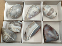 Polished Sashe River Agate Standing Free Forms x 7 From Zimbabwe