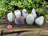 Polished Sashe River Agate Standing Free Forms x 7 From Zimbabwe