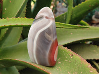 Polished Sashe River Agate Standing Free Forms x 7 From Zimbabwe