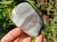 Polished Sashe River Agate Standing Free Forms x 7 From Zimbabwe