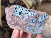 Natural Classic Large Dioptase On Dolomite Cabinet Specimen x 1 From Likasi, Congo