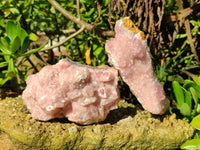 Natural Extremely Rare Collectable Rhodocalcite Specimens x 2 From Congo - Toprock Gemstones and Minerals 