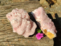 Natural Extremely Rare Collectable Rhodocalcite Specimens x 2 From Congo - Toprock Gemstones and Minerals 