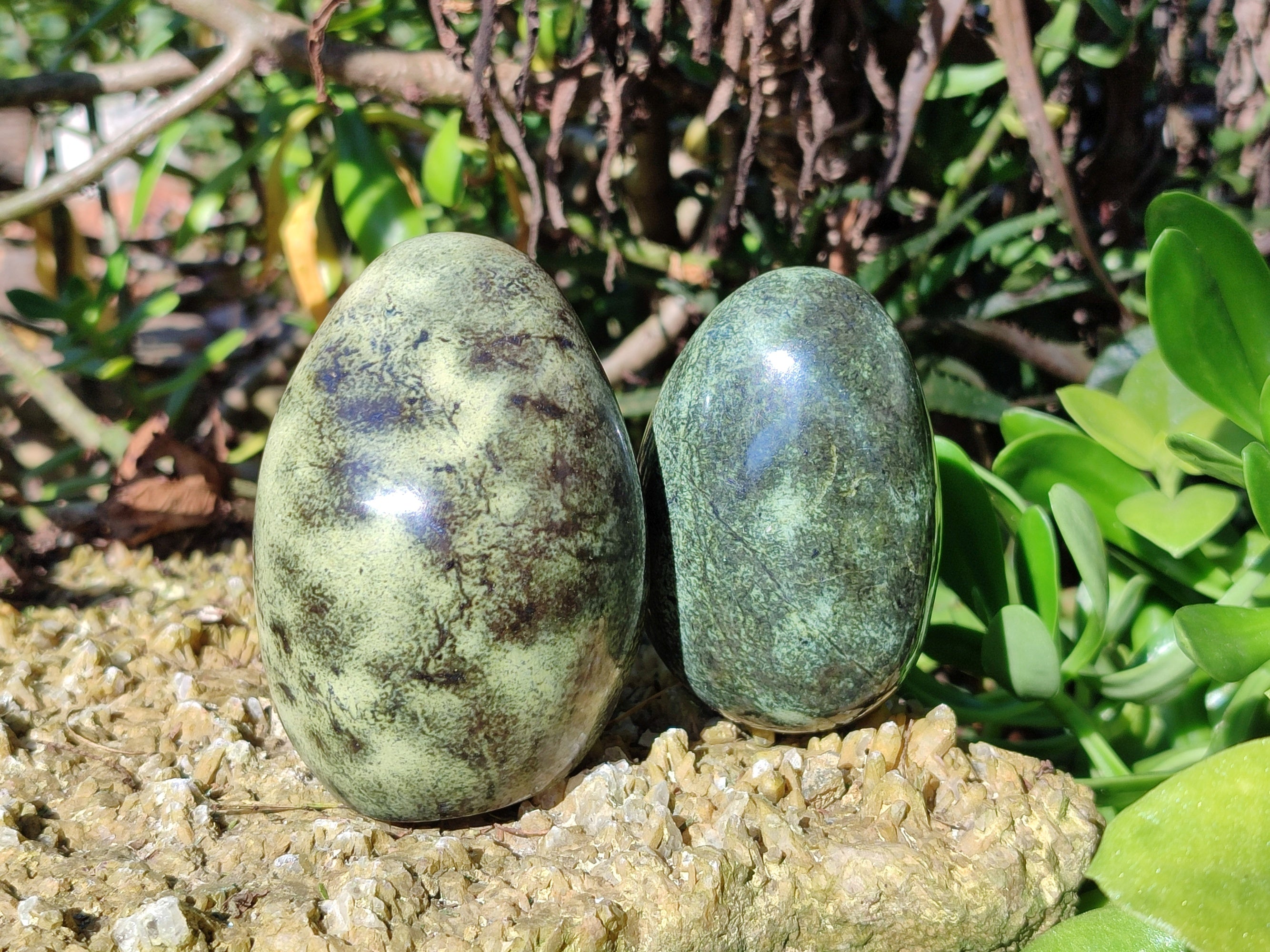 Polished Leopard Stone Standing Free Forms and Free Forms x 6 From Zimbabwe - Toprock Gemstones and Minerals 