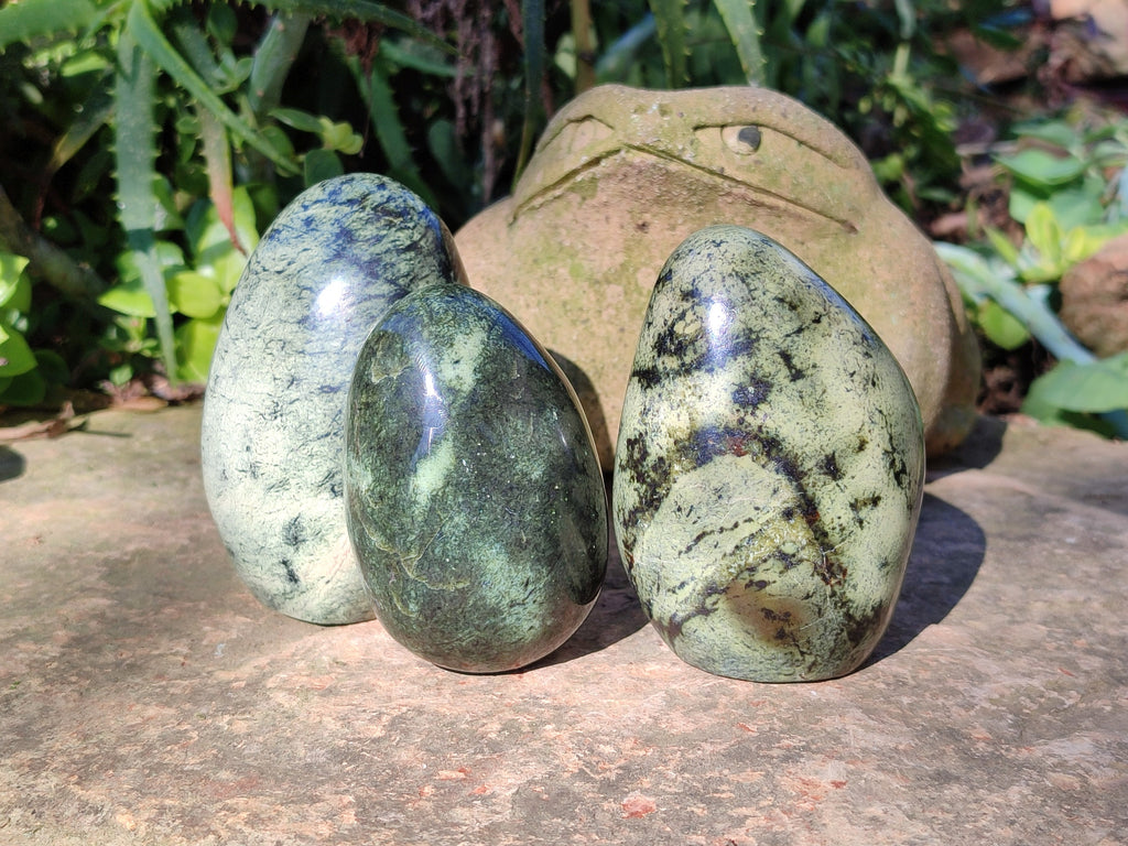 Polished Leopard Stone Standing Free Forms and Free Forms x 6 From Zimbabwe - Toprock Gemstones and Minerals 