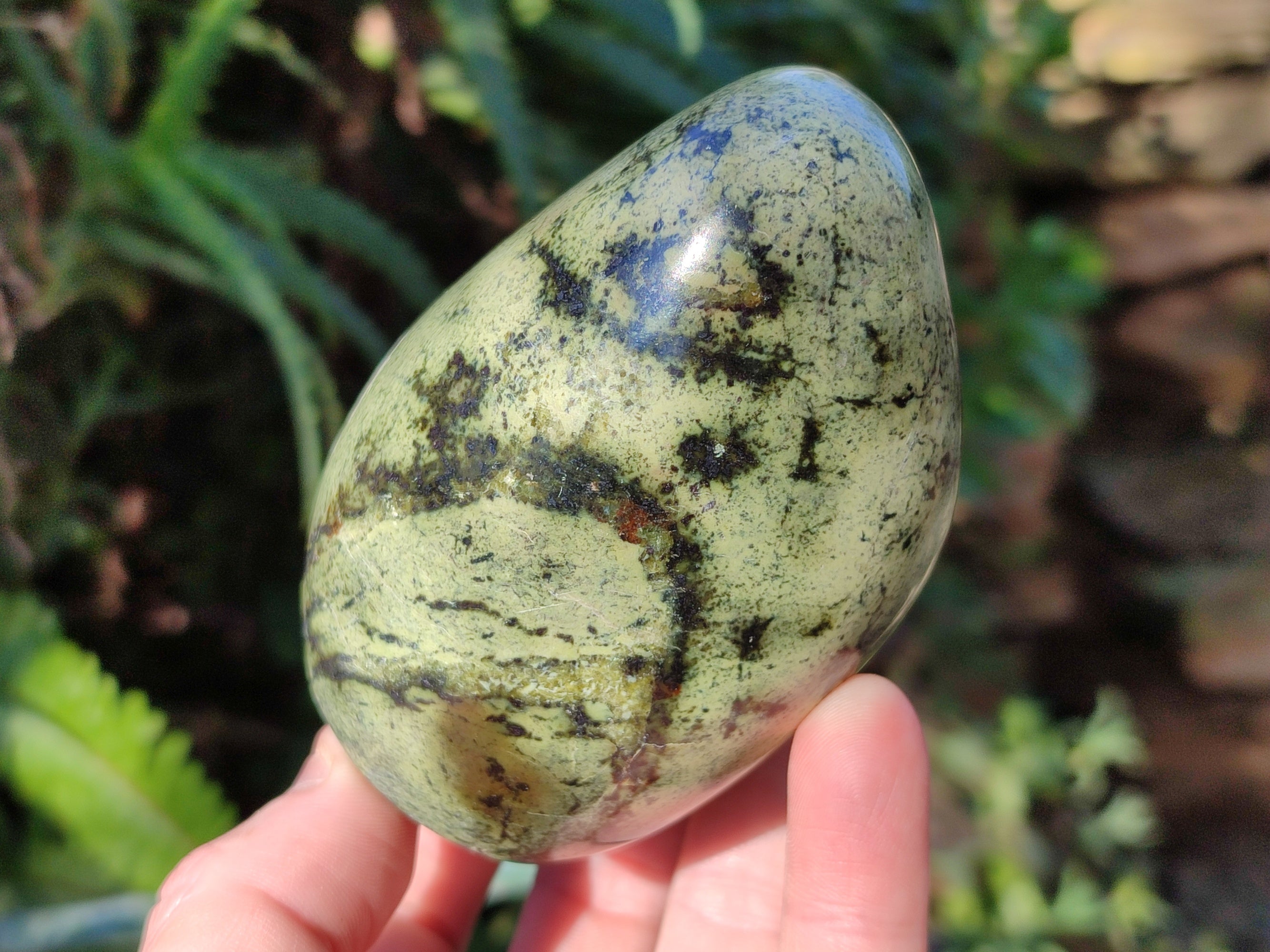 Polished Leopard Stone Standing Free Forms and Free Forms x 6 From Zimbabwe - Toprock Gemstones and Minerals 