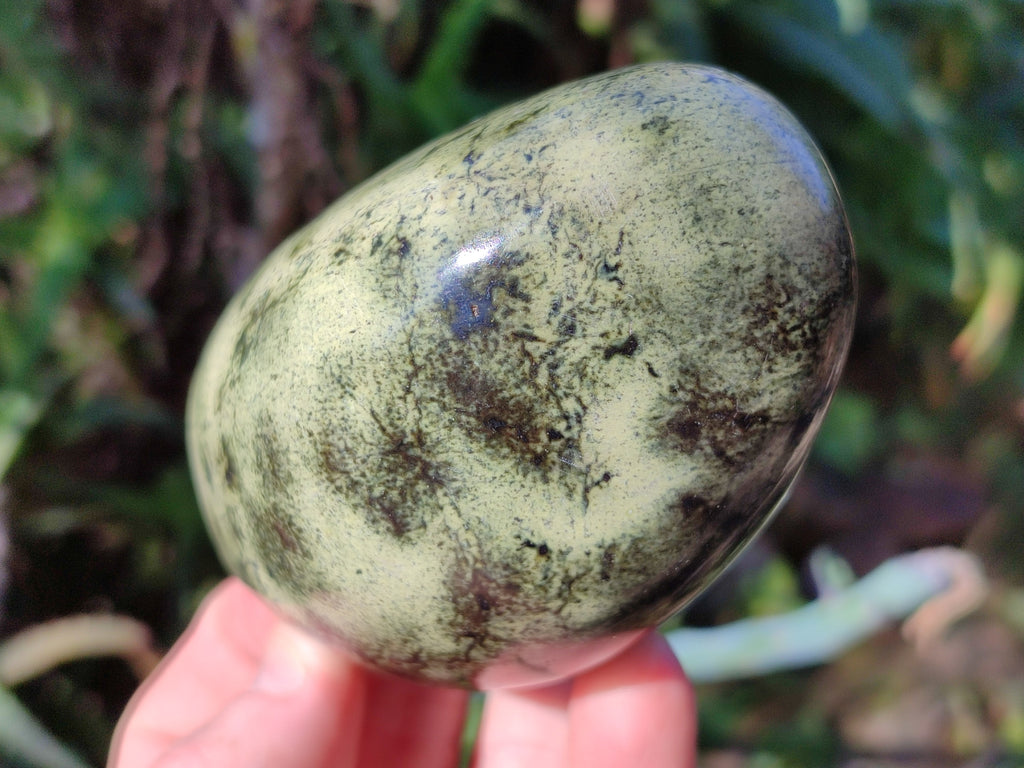 Polished Leopard Stone Standing Free Forms and Free Forms x 6 From Zimbabwe - Toprock Gemstones and Minerals 