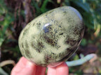 Polished Leopard Stone Standing Free Forms and Free Forms x 6 From Zimbabwe - Toprock Gemstones and Minerals 