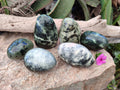 Polished Leopard Stone Standing Free Forms and Free Forms x 6 From Zimbabwe - Toprock Gemstones and Minerals 