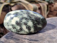 Polished Leopard Stone Standing Free Forms and Free Forms x 6 From Zimbabwe - Toprock Gemstones and Minerals 