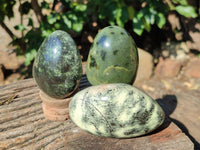 Polished Leopard Stone Standing Free Forms and Free Forms x 6 From Zimbabwe - Toprock Gemstones and Minerals 