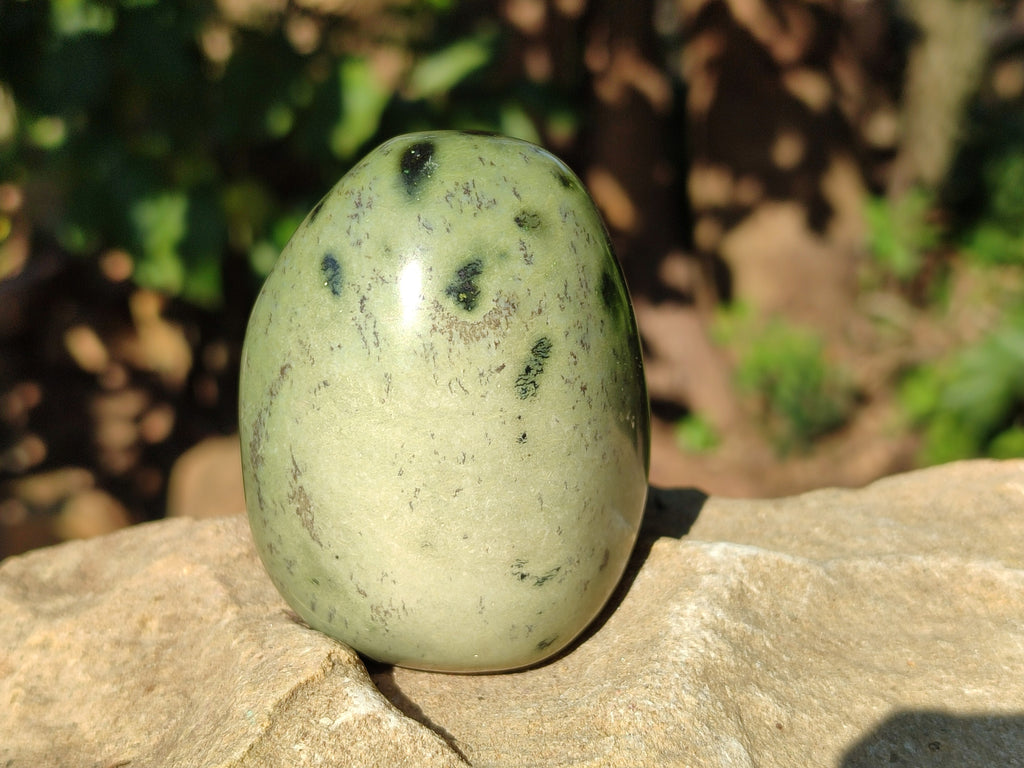 Polished Leopard Stone Standing Free Forms and Free Forms x 6 From Zimbabwe - Toprock Gemstones and Minerals 