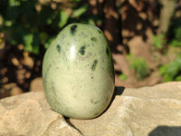 Polished Leopard Stone Standing Free Forms and Free Forms x 6 From Zimbabwe - Toprock Gemstones and Minerals 