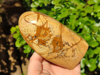 Polished Picture Stone Jasper Standing Free Forms x 2 From Ais-Ais, Namibia
