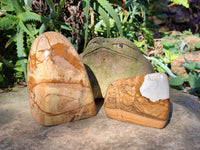 Polished Picture Stone Jasper Standing Free Forms x 2 From Ais-Ais, Namibia