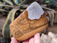 Polished Picture Stone Jasper Standing Free Forms x 2 From Ais-Ais, Namibia
