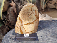 Polished Picture Stone Jasper Standing Free Forms x 2 From Ais-Ais, Namibia