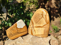 Polished Picture Stone Jasper Standing Free Forms x 2 From Ais-Ais, Namibia