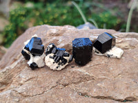 Natural Schorl Black Tourmaline Terminated Crystal Specimens with some Hyalite Opal x 70 From Erongo, Namibia