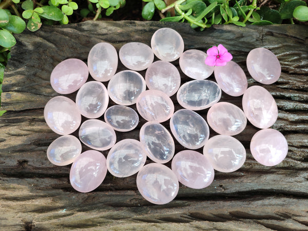Polished Rose Quartz Palm Stones x 35 From Ambatondrazaka, Madagascar