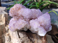 Natural Sunburst Amethyst Spirit Quartz Clusters x 2 From South Africa - Toprock Gemstones and Minerals 