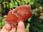 Polished On One Side Red Sashe River Agate Nodules x 20 From Zimbabwe - Toprock Gemstones and Minerals 