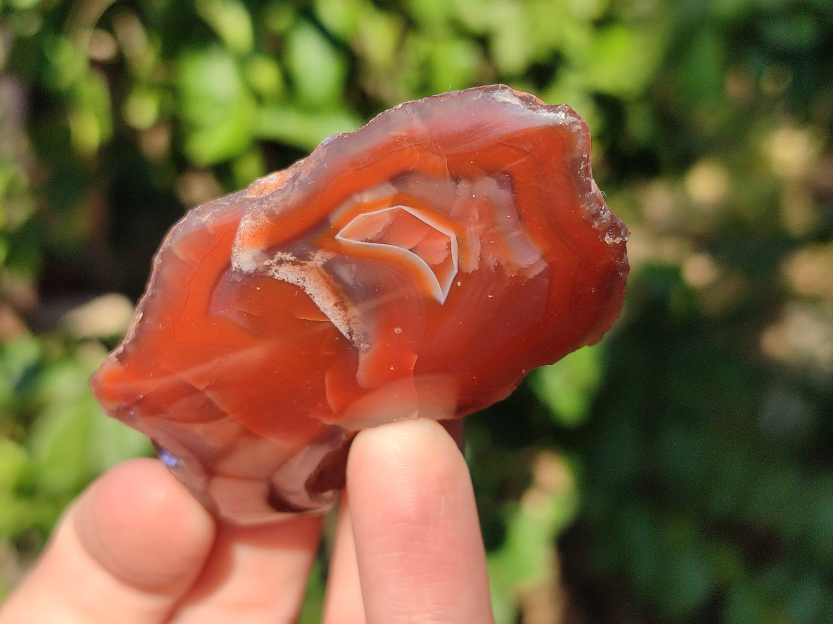 Polished On One Side Red Sashe River Agate Nodules x 20 From Zimbabwe - Toprock Gemstones and Minerals 