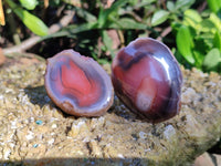 Polished On One Side Red Sashe River Agate Nodules x 20 From Zimbabwe
