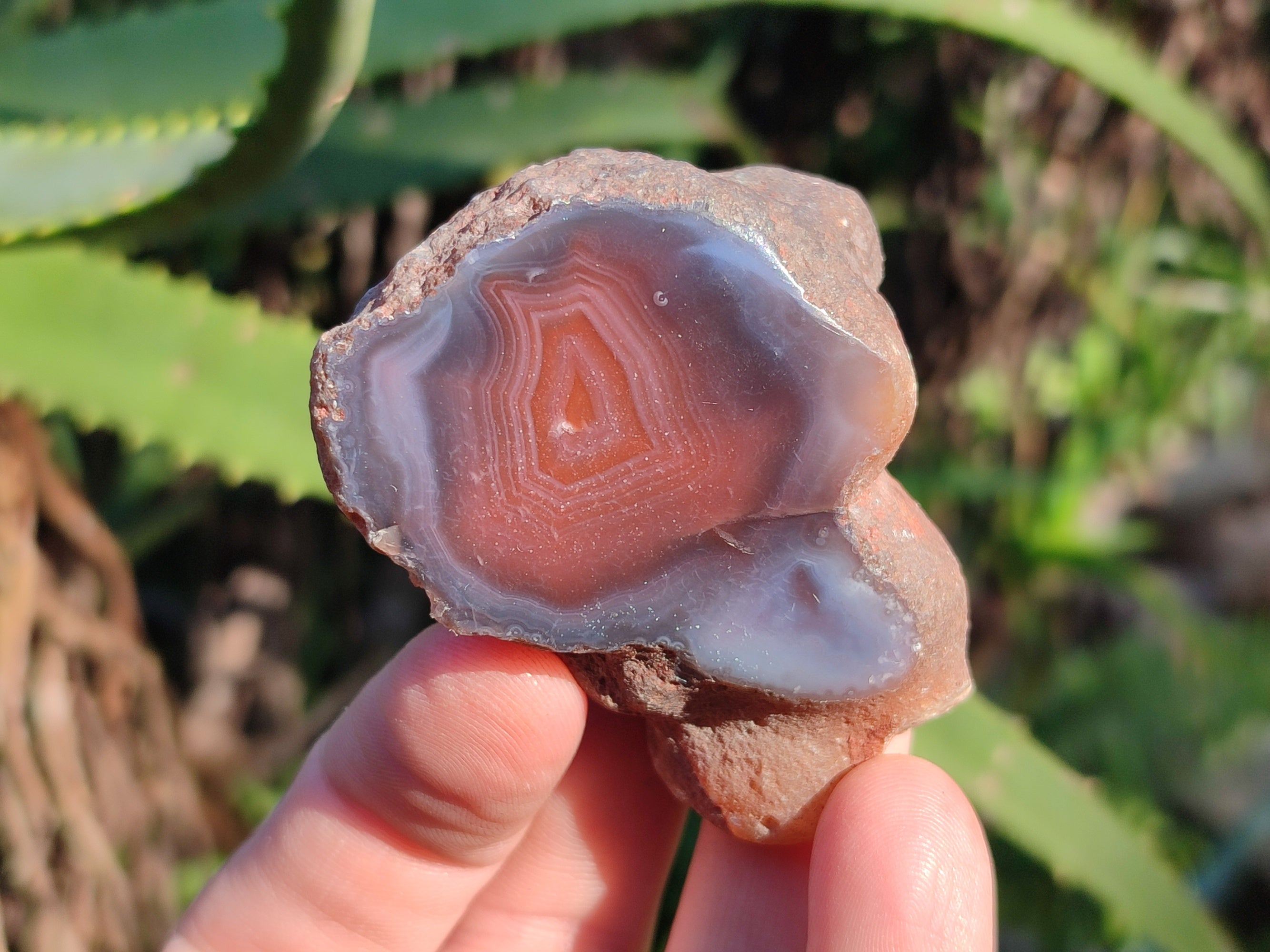 Polished On One Side Red Sashe River Agate Nodules x 20 From Zimbabwe - Toprock Gemstones and Minerals 