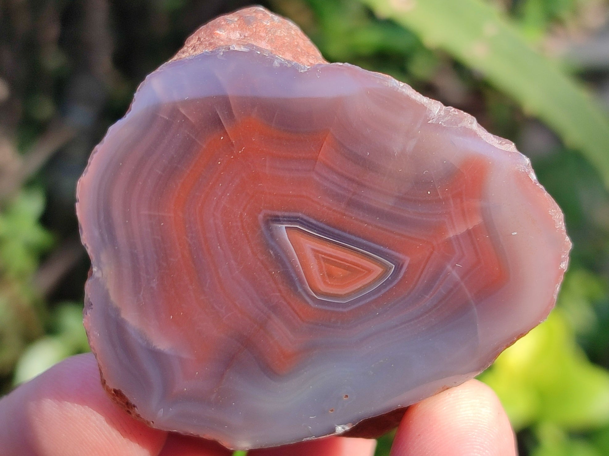 Polished On One Side Red Sashe River Agate Nodules x 20 From Zimbabwe - Toprock Gemstones and Minerals 