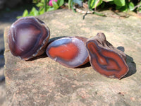 Polished On One Side Red Sashe River Agate Nodules x 20 From Zimbabwe