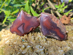 Polished On One Side Red Sashe River Agate Nodules x 20 From Zimbabwe - Toprock Gemstones and Minerals 
