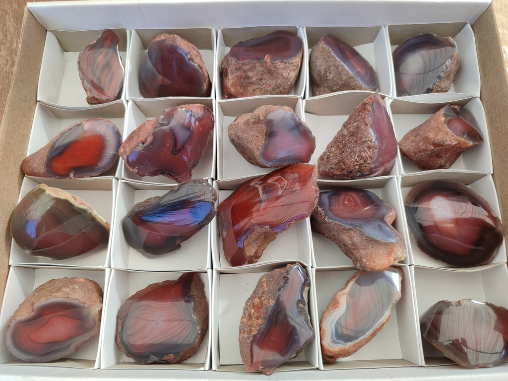 Polished On One Side Red Sashe River Agate Nodules x 20 From Zimbabwe - Toprock Gemstones and Minerals 