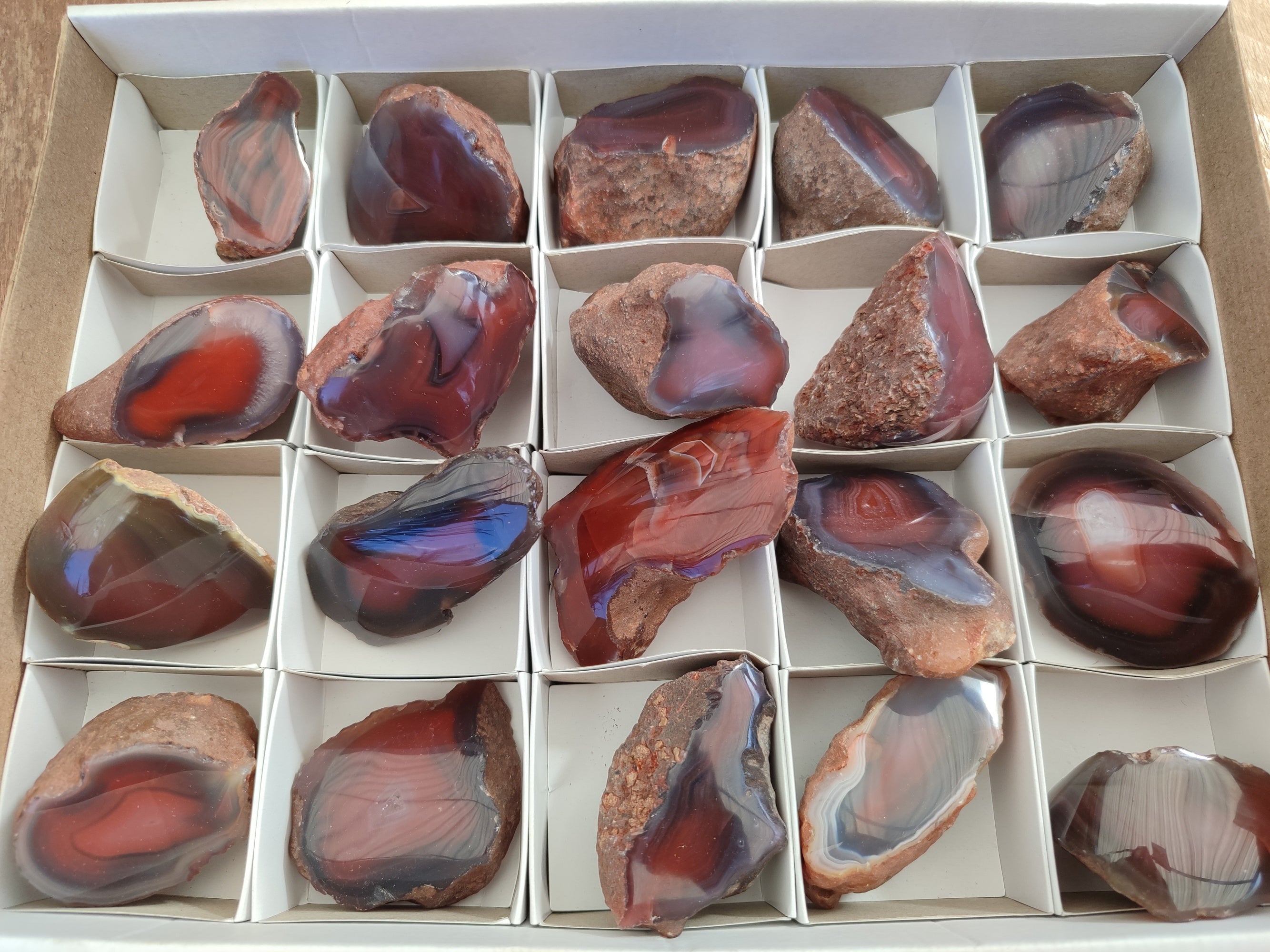 Polished On One Side Red Sashe River Agate Nodules x 20 From Zimbabwe - Toprock Gemstones and Minerals 